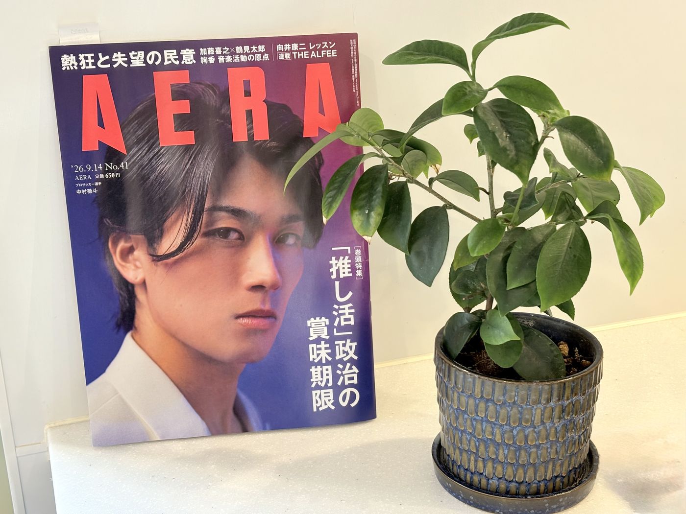 AERA 2026年9月14日号の表紙と観葉植物